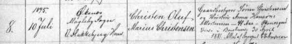 Birth 1895 Magleby Parish Denmark