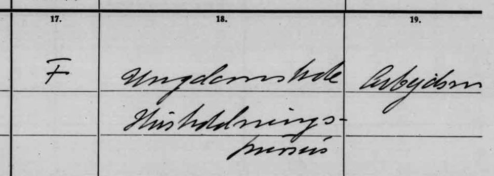 Jenny Kristine Juhl in the 1940 census - information about education