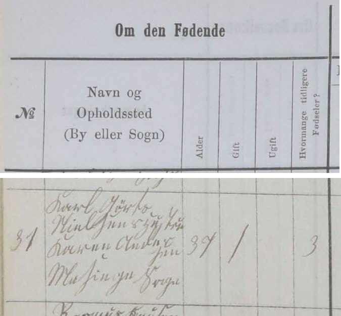 Image from a Danish Midwife Record from 1879