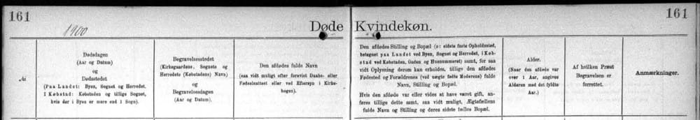 Denmark Death Record Headings 1900 Parish Register