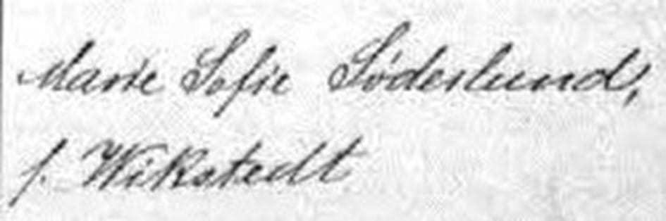One of My Favorite Genealogy Finds: A Death Record
